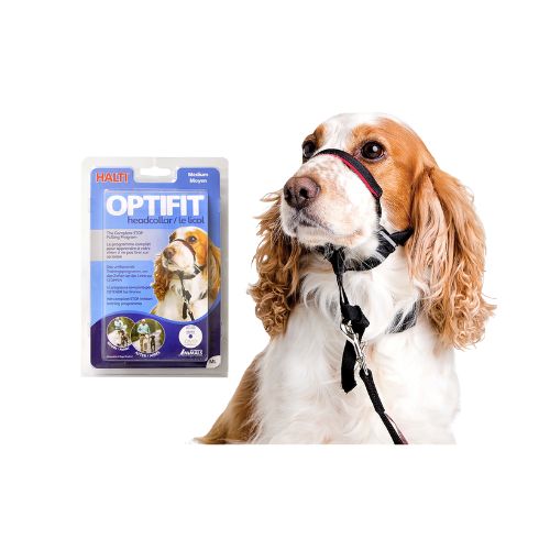 HALTI OPTIFIT HEADCOLLAR Canes Avero