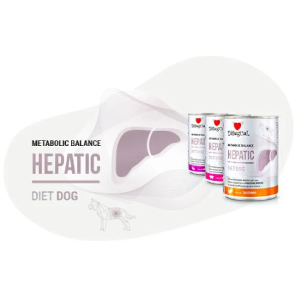 HEPATIC TURKEY DISUGUAL DIET DOG CANNED DOG FOOD 400GR