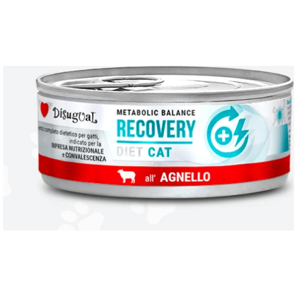 RECOVERY LAMB DISUGUAL DIET CAT CANNED CAT FOOD 85GR