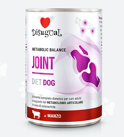 JOINT BEEF DISUGUAL DIET DOG CANNED DOG FOOD 400GR