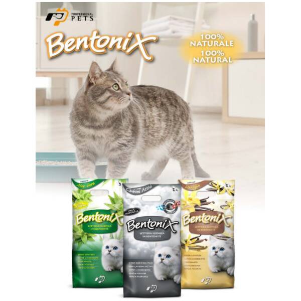 DISIGUAL BENTONITE LITTER - APPLE 5KG