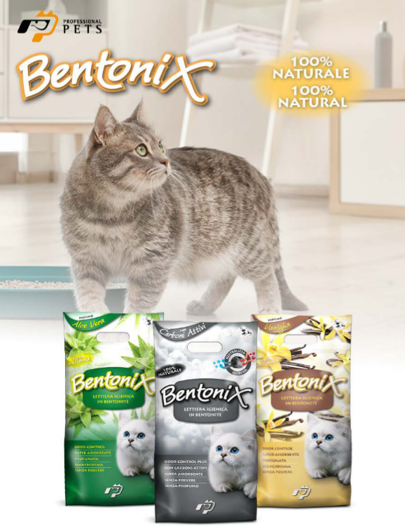 DISIGUAL BENTONITE LITTER - APPLE 5KG