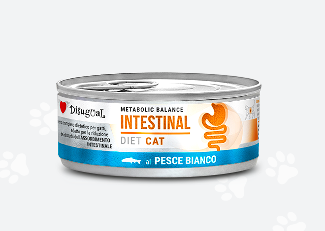 INTESTINAL* WHITE FISH DISUGUAL DIET CAT CANNED CAT FOOD 85GR