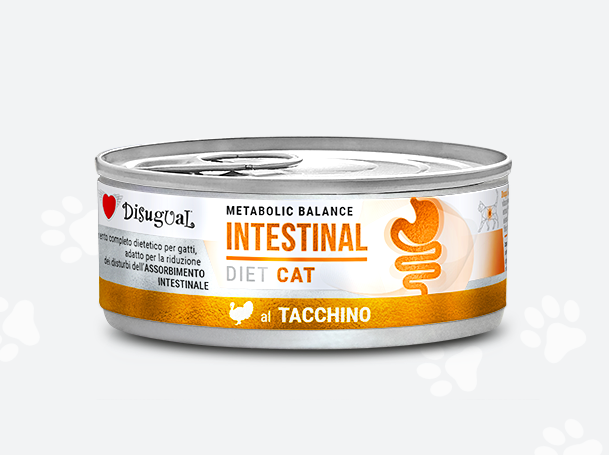 INTESTINAL* TURKEY DISUGUAL DIET CAT CANNED CAT FOOD 85GR