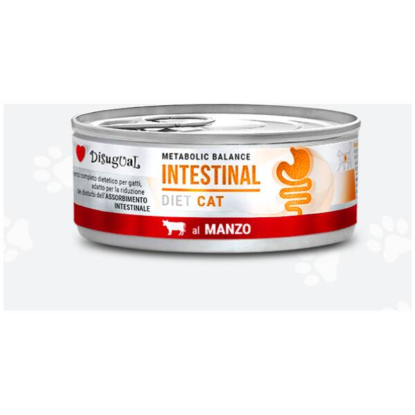 INTESTINAL* BEEF DISUGUAL DIET CAT CANNED CAT FOOD 85GR